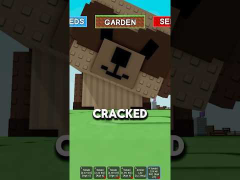 “Why Tanuki’s Actually OP” #roblox  #robloxgrowagarden #growagardenroblox