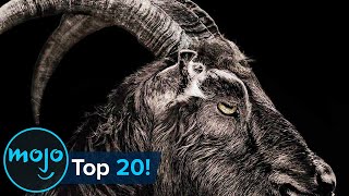 Download lagu Top 20 Terrifying Horror Movie Animals... mp3