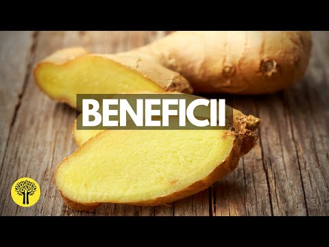 GHIMBIRUL-MIRACOL al Naturii | Arborele vietii