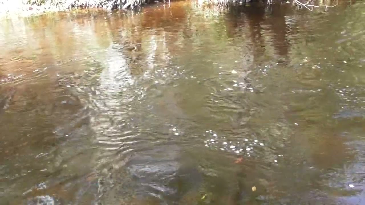 'Simply be'...with the flowing leaves (2)