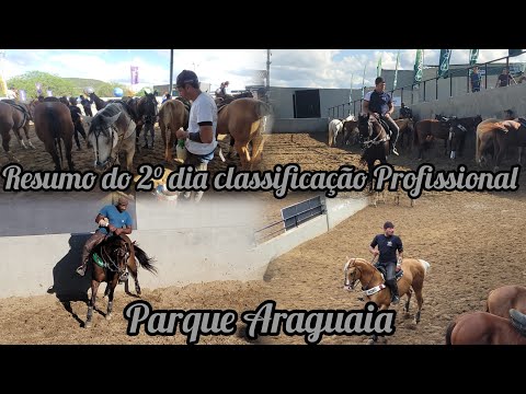SUMMARY AND BACKSTAGE OF THE 2ND DAY OF THE PROFESSIONAL CLASSIFICATION AT ARAGUAIA PARK PE PB CH...