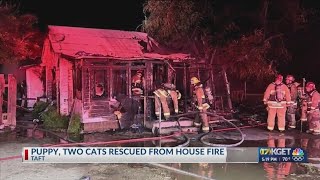 Fire crews knock down structure fire in Taft, rescue pets from burning home: KCFD