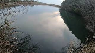 平瀬彪 撮影　サイトフィッシング