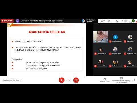 fisiopatologia I - acumulos intracelulares (23.02.21)