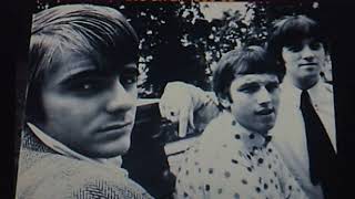 The Mindbenders:  "A Groovy Kind of Love"  (1965)