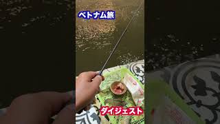ベトナム旅行ダイジェスト　#shorts  #vietnam #ベトナム#旅行