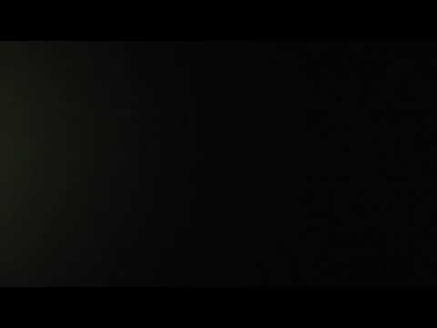 Franco Battiato - L'animale