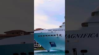 MSC Magnifica 🛳️ #like #share #comment #subscribe #cruiseship #cruise #vacation #shorts #short #fun