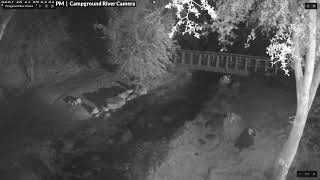 River Camera Live Stream live webcam