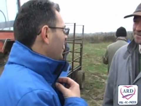 campanie 30 valea vinului