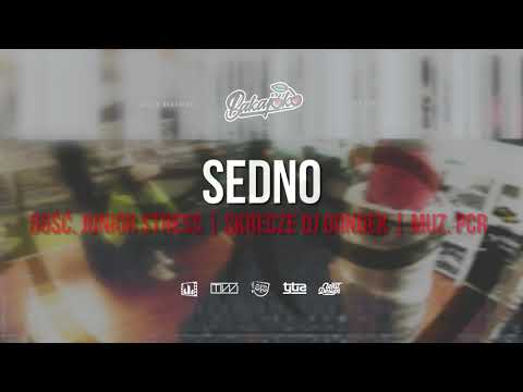 13. Wiśnia Bakajoko - SEDNO gość. Junior Stress, skrecz DJ Gondek, muz. PCR