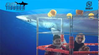 DIA 2 Expo Tiburon68