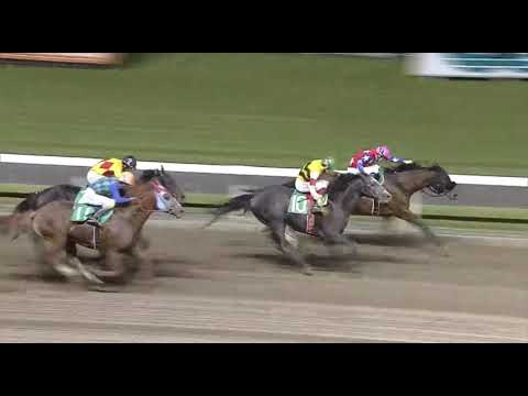 Farthingale (KY) wins race 10 at Kawasaki 5/16/2018