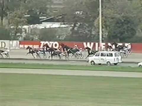 Hunyady-Gedenkrennen 1992 - Das Rennen