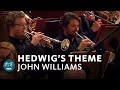 John Williams - Hedwig's Theme (Harry Potter) | Funkhausorchester 