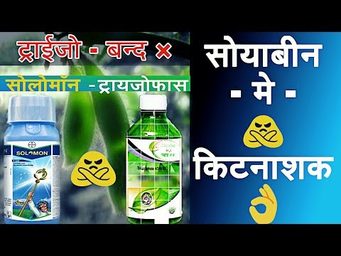 Bayer Solomon Insecticide/ Triazophos 40 ec/ Soyabin Insecticide
