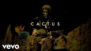 Gustavo Cerati - Cactus (Official Visualizer)