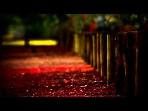 Just Say - Bustrexx Ft. CoMa