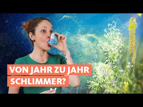 Allergie gegen Pflanzen: Haben wir bald alle Heuschnupfen? | Quarks