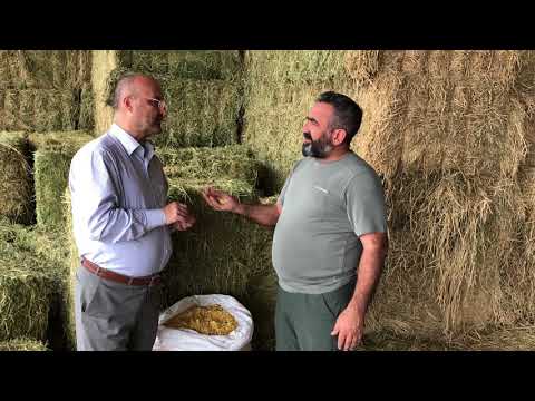 download lagu mp3 mp4 Flake Yem, download lagu Flake Yem gratis, unduh video klip Flake Yem