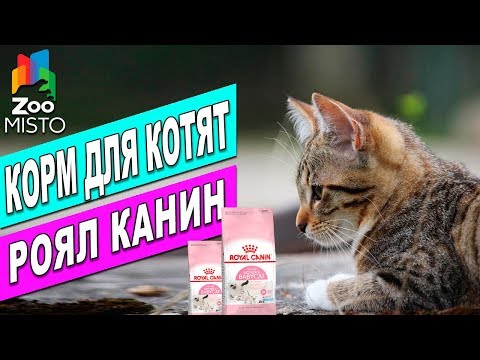 Из-за чего может болеть спина у беременной Околосуставная блокада тазобедренного сустава