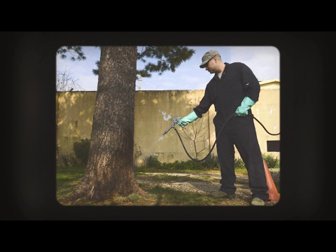 General Pest Control Sydney, AU - Benefits Of Hiring A Professional Pest Control Company