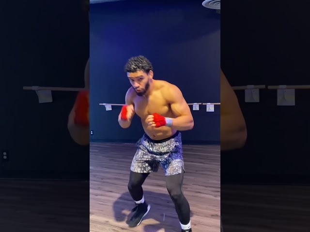Vídeo relacionado con Rocky Savage Punch Apollo Creed Fight Vintage Panel Camiseta