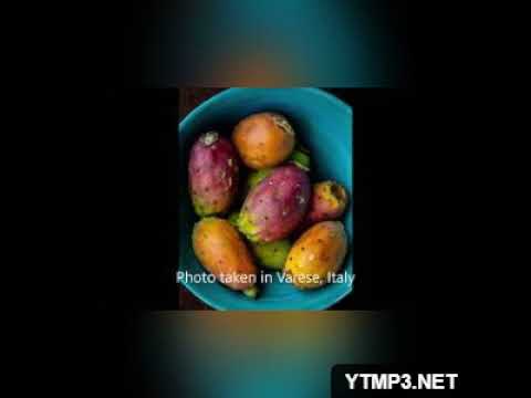 FUA N'AMICU I TUTTI  DIEGO PIZZIMENTI