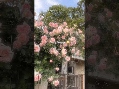 Route ❤️ // slowed and reverb // kulvir jhinger new status // #youtubeshorts #shortfeed