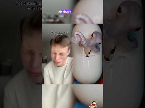 редко но метко#shorts#youtube#song#music