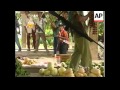 EAST TIMOR: VIOLENCE ESCALATING EAST TIMOR: VIOLENCE ESCALATING