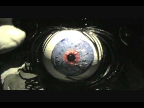 LIONS OF THE SOUTH- Demo song/video of Awakening and Vicious Cycle