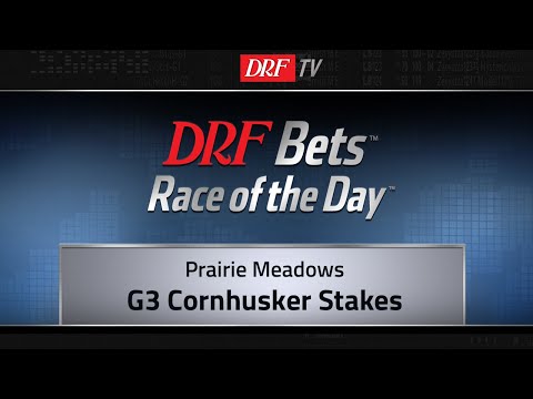 DRFBets Friday Race of the Day - Cornhusker Stakes 2019