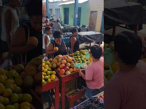FEIRA DE SANTA INÊS BAHIA #shorts #feira #turismo #entretenimento #cultura #frutas #santainês