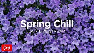 Spring Chillout Lounge 2026 🪻 24/7 Live Stream 🎧 Deep Chill House Mix by We Are Diamond thumbnail