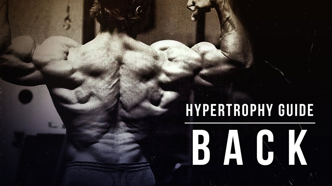 Hypertrophy Guide | Back | JTSstrength.com