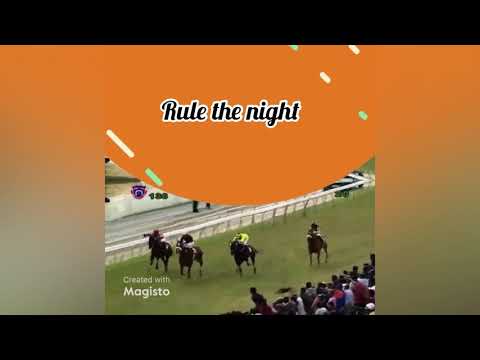 The Noble Salute Cup 990M preview