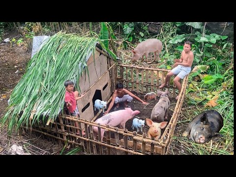 , title : 'Rama Bikin Rumah Babi Yang Mewah Dan Besar Untuk Babinya di Pinggir Hutan!!'