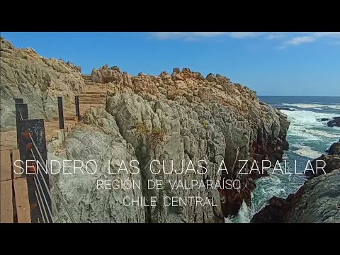 Cachagua y Zapallar. Paseo playa Las Cujas. Región de Valparaíso. Chile central.