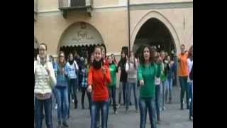 preview picture of video 'FLASH MOB EULA piazza santarosa savigliano'