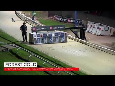 Forest Gold - Birmingham Cup Semi Final