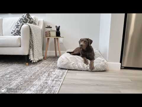 51 & 61 Edgemont Place - Video 7 of 8