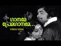 Gaaname Prema Gaaname Malayalam Super Hit Movie Song Rowdy Ramu Ft Madhu Jayabharathi
