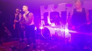 Broilers  (live) - Singe, Seufze & Saufe (03.02.2017)