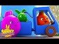 SUNNY BUNNIES - Toy Car | Season 7 | Cartoons for Children