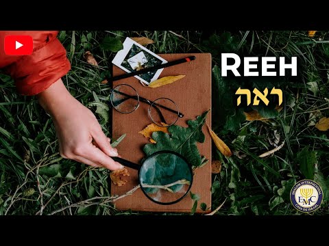 📜 Curiosidades de la parashah - REEH #47