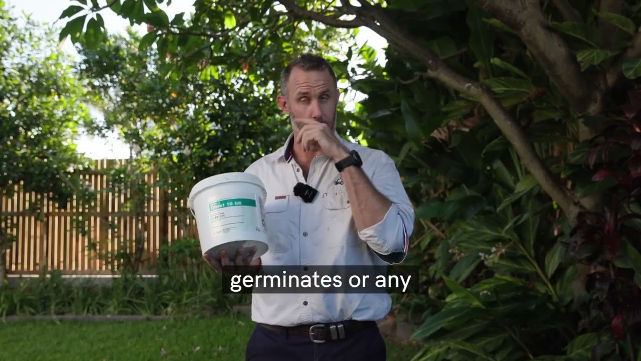 Onset 10GR Granular Preemergent