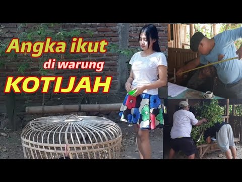 angka-ikut-warung-kotijah-hidup-maju-mundur-pak-ndutt-mukidi-senton