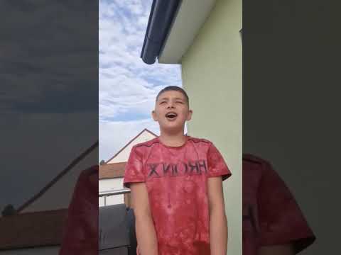 safer nišić moj dilbere