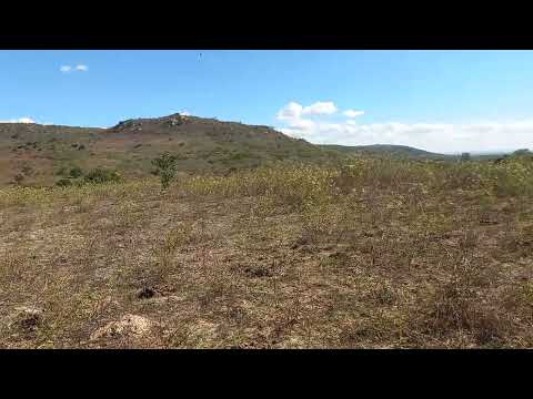 Fazenda cajazeira. São  Caetano PE 180 hectare  f 81.98957-4976 zp